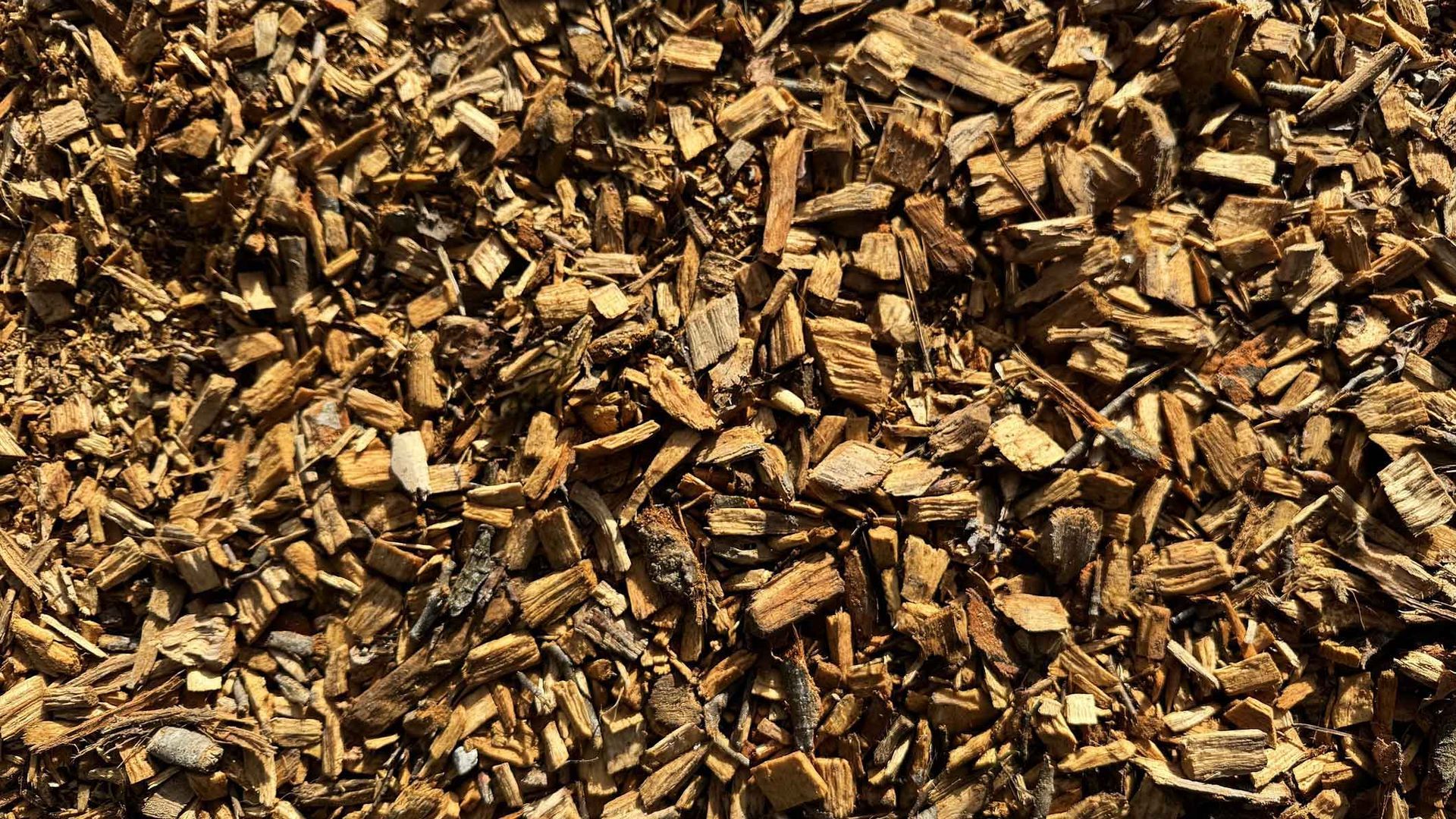 Brown wood mulch or bark chips covering the ground.