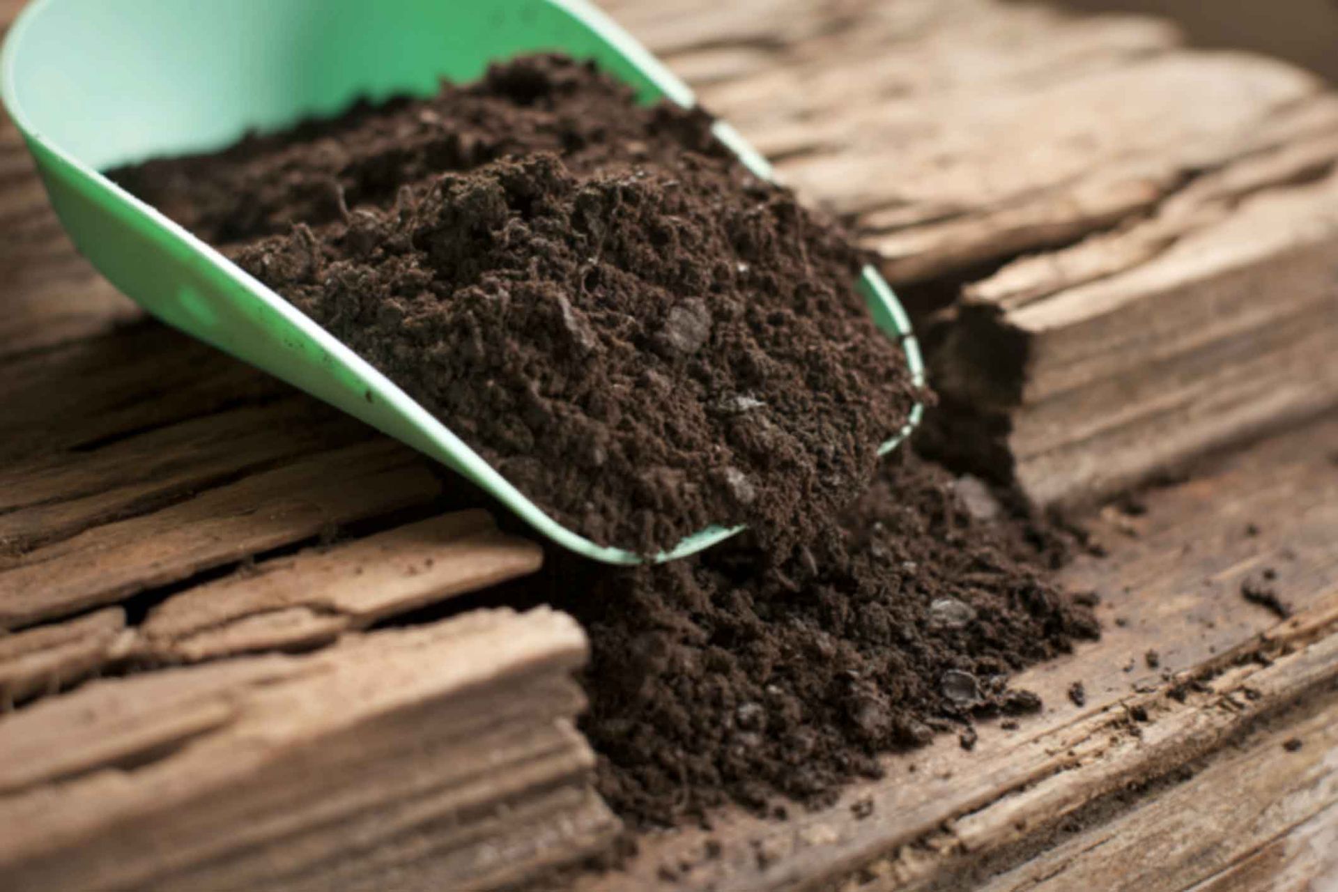 Green scoop spilling dark soil onto weathered wood surface