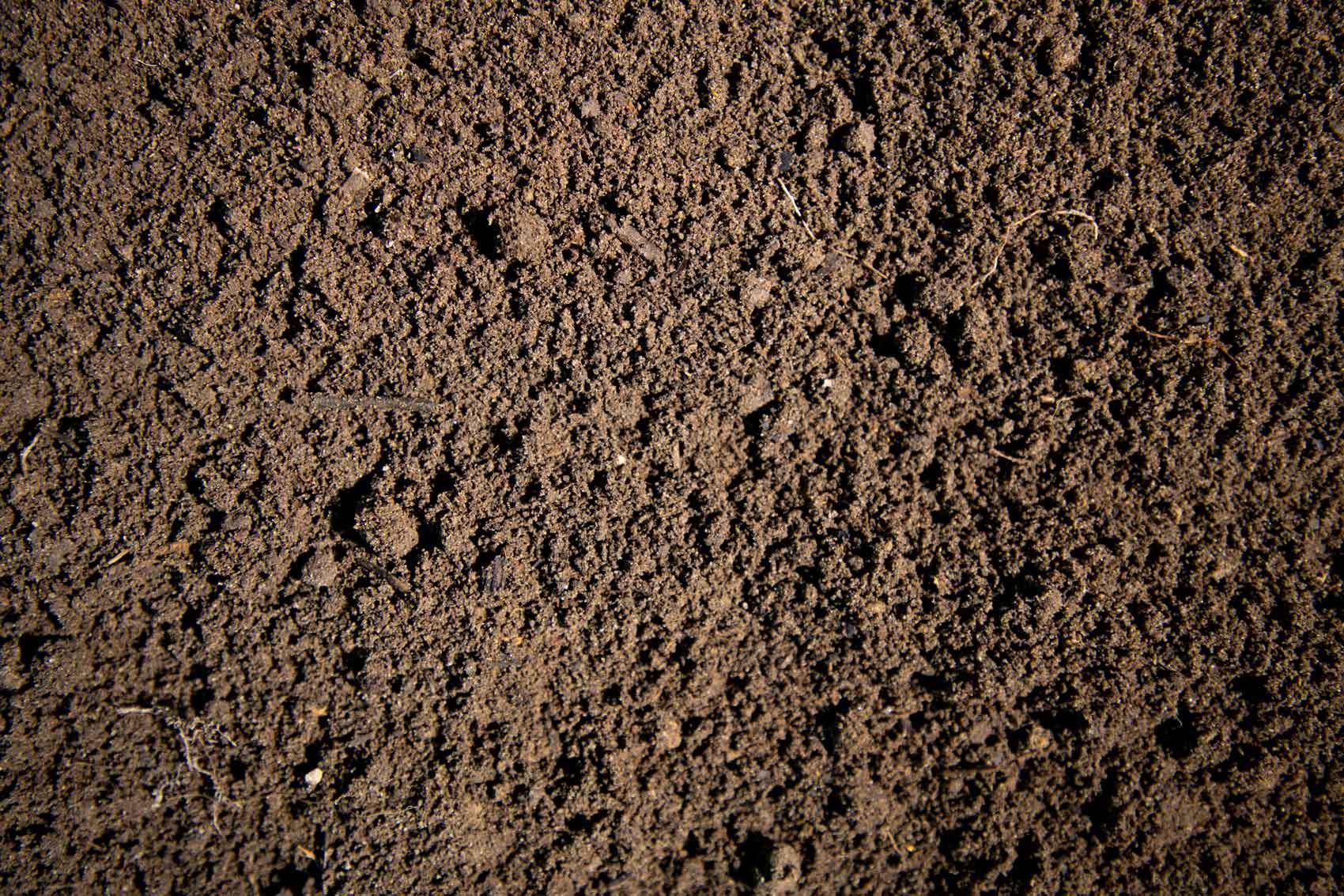Close-up of dark brown soil with a rough, granular texture