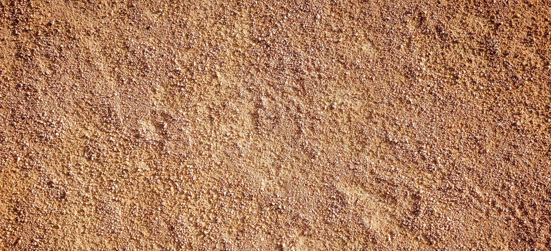 Close-up of a tan, grainy textured surface resembling sand or soil