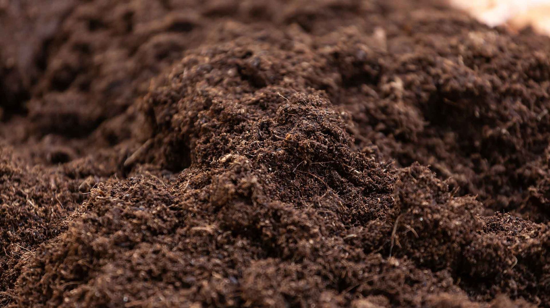 Close-up of dark brown soil or compost piled in a mound