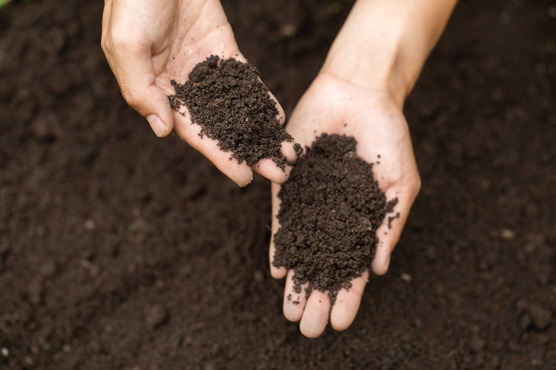 Hands holding dark soil over a garden bed
