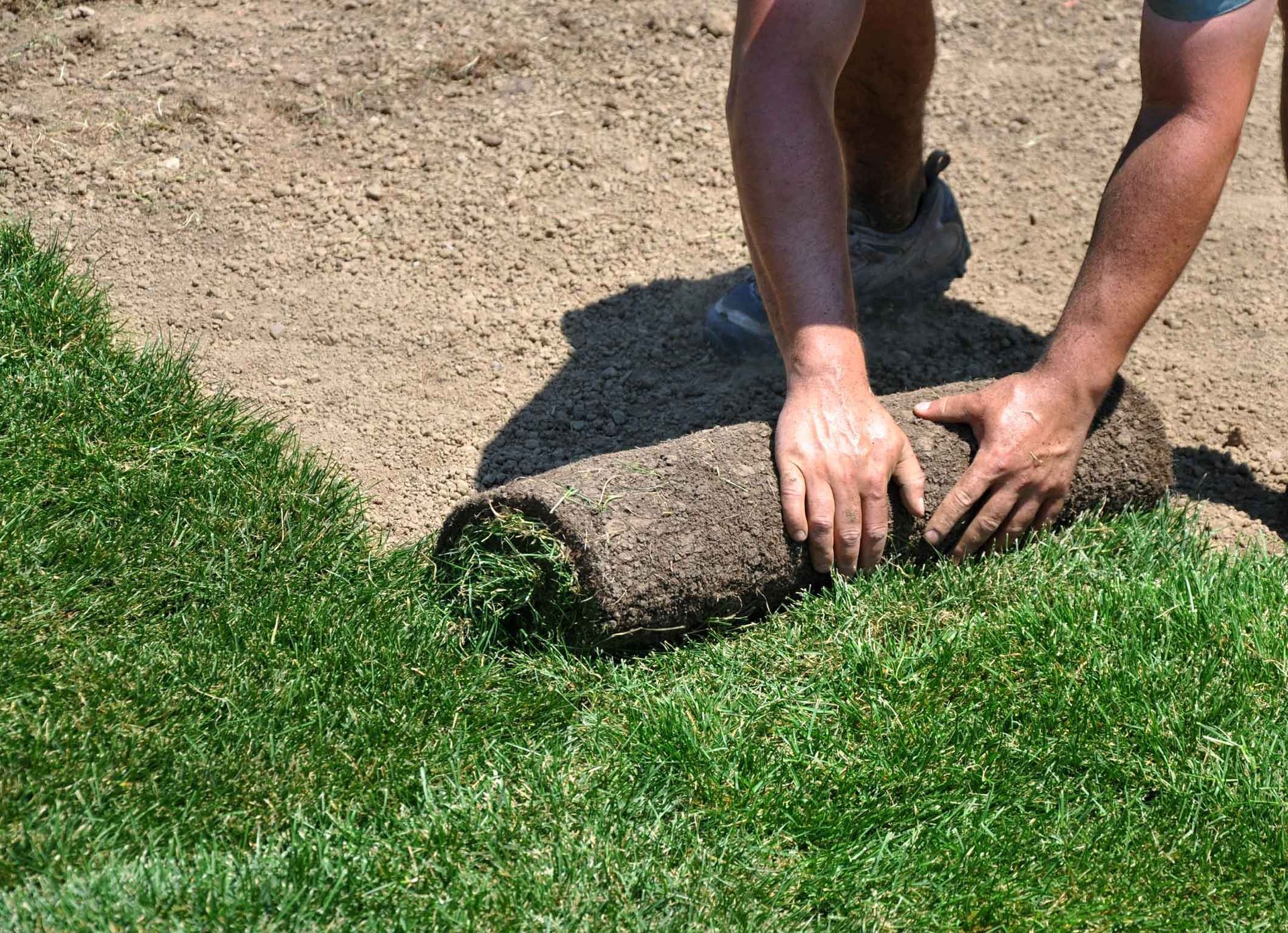Hands laying sod on a lawn edge beside existing grass and dirt.