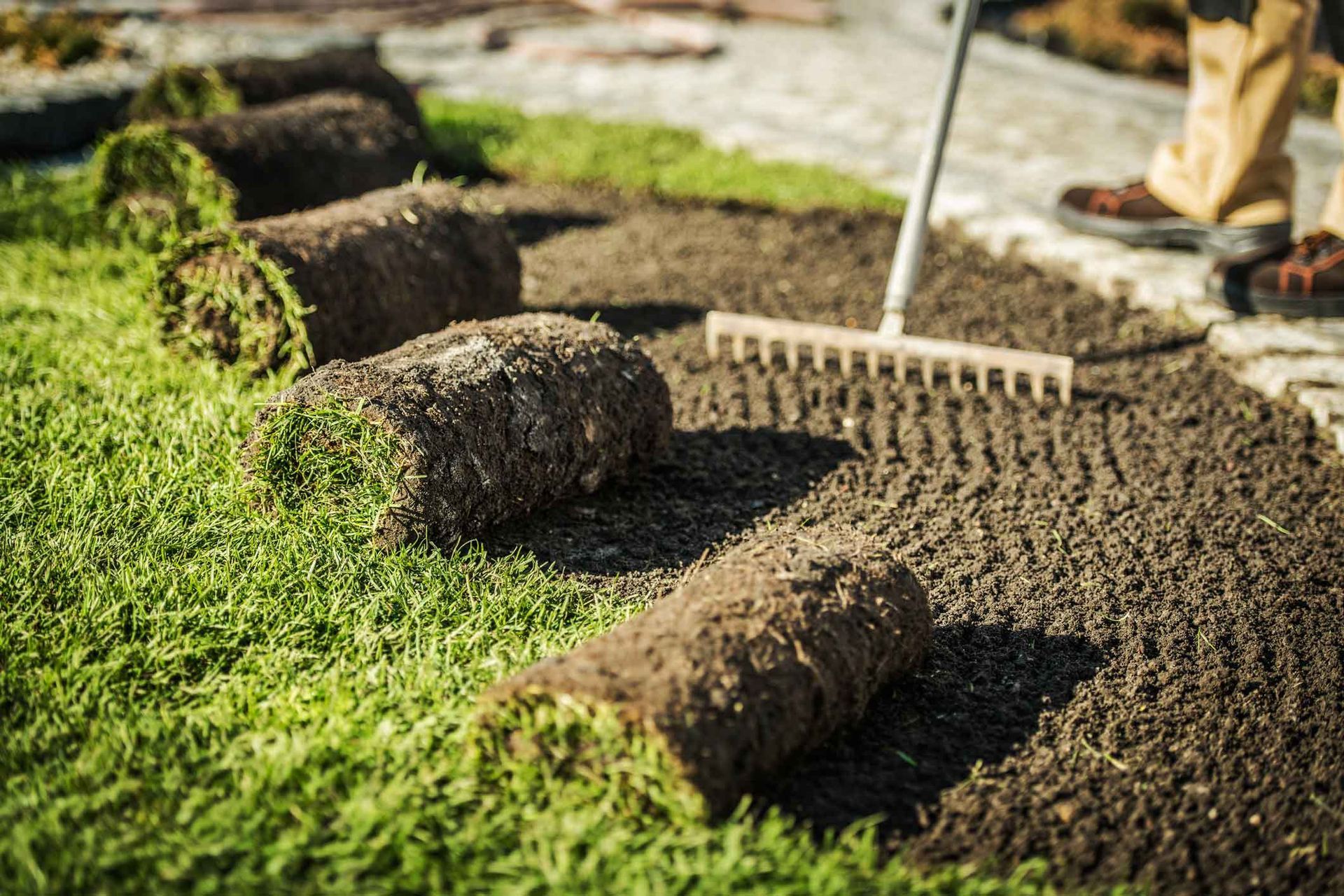 Rolled sod strips being laid in a garden bed with a rake nearby
