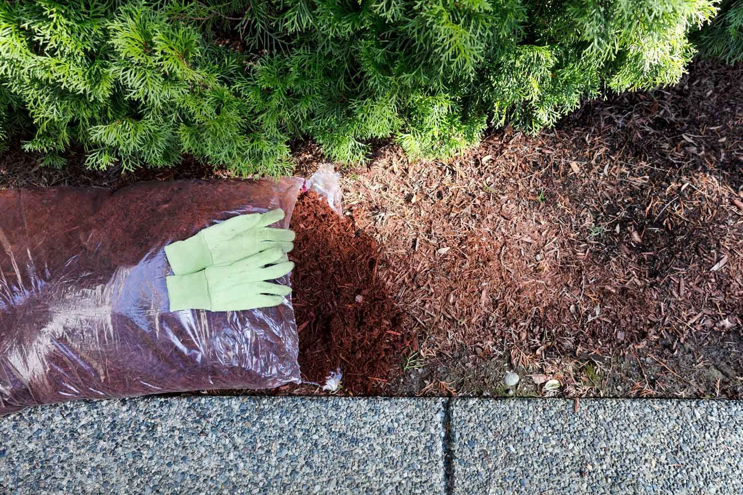 Green glove in a brown yard waste bag beside shrubs and a concrete edge