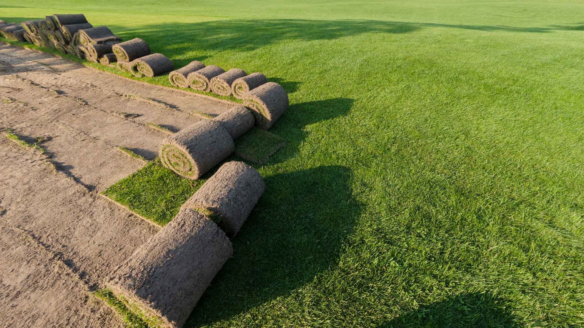 Rolled sod strips laid over a grassy field beside a dirt edge