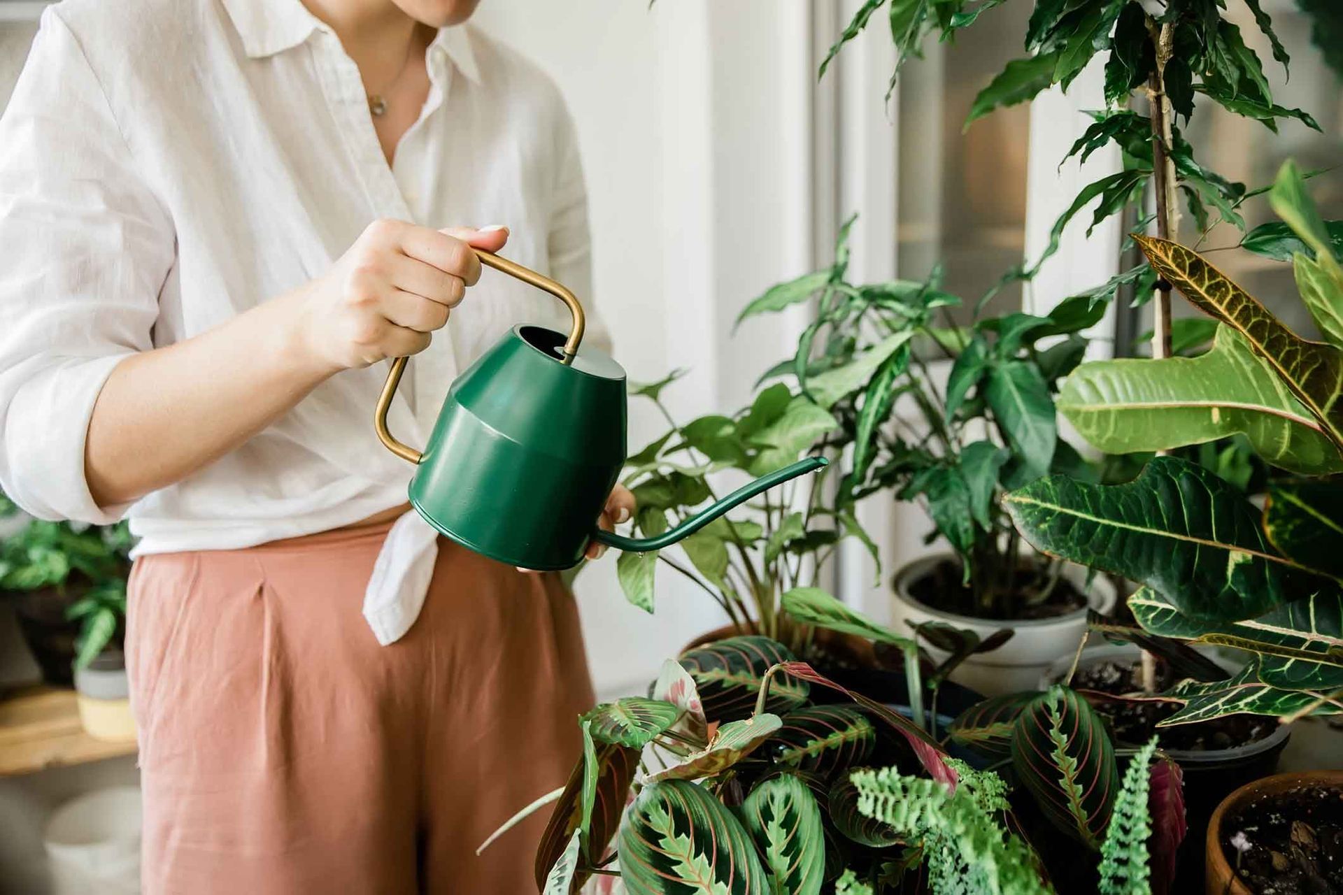 Person watering potted houseplants with a green watering can in a bright indoor room