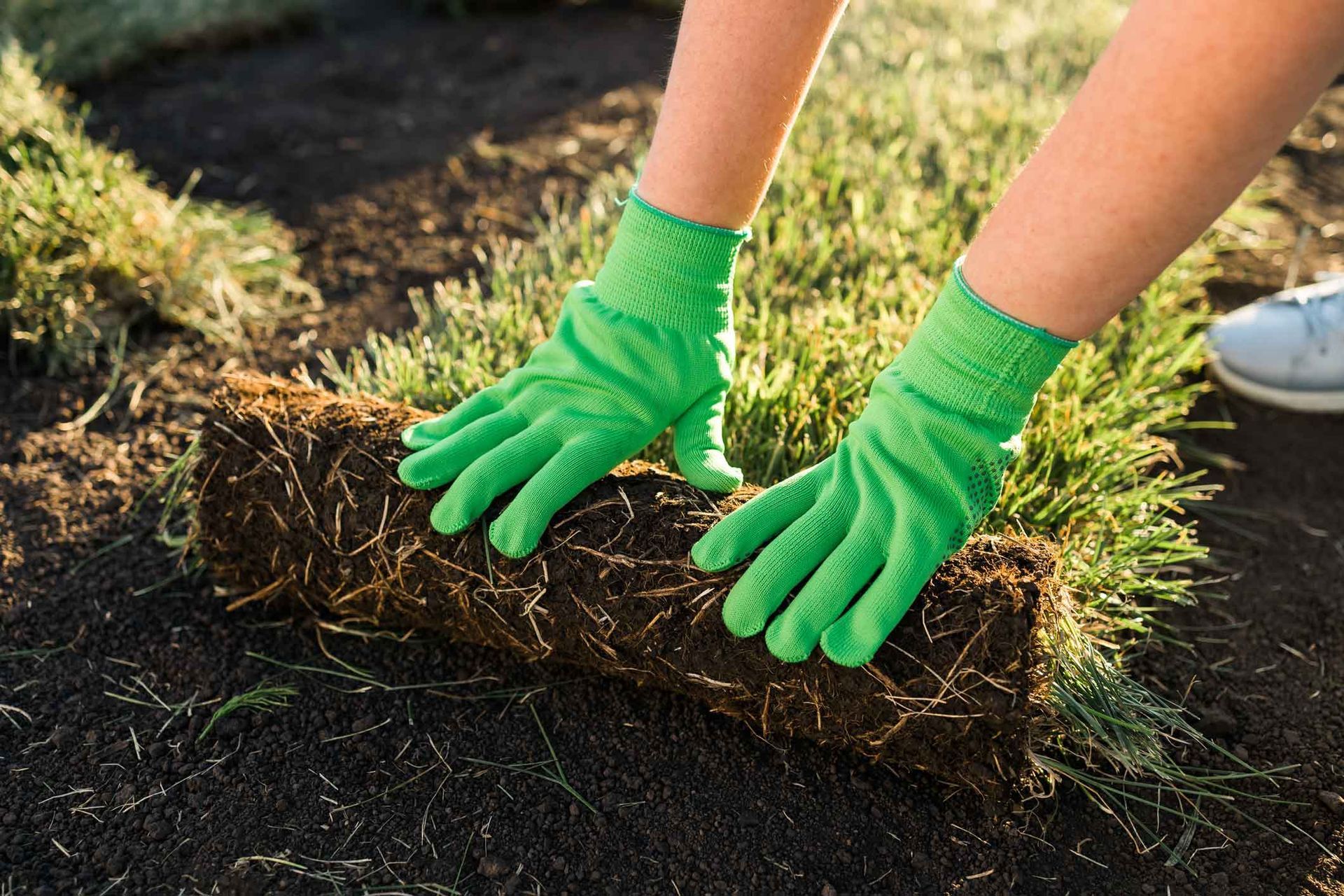 Green-gloved hands laying sod over dark soil in a garden