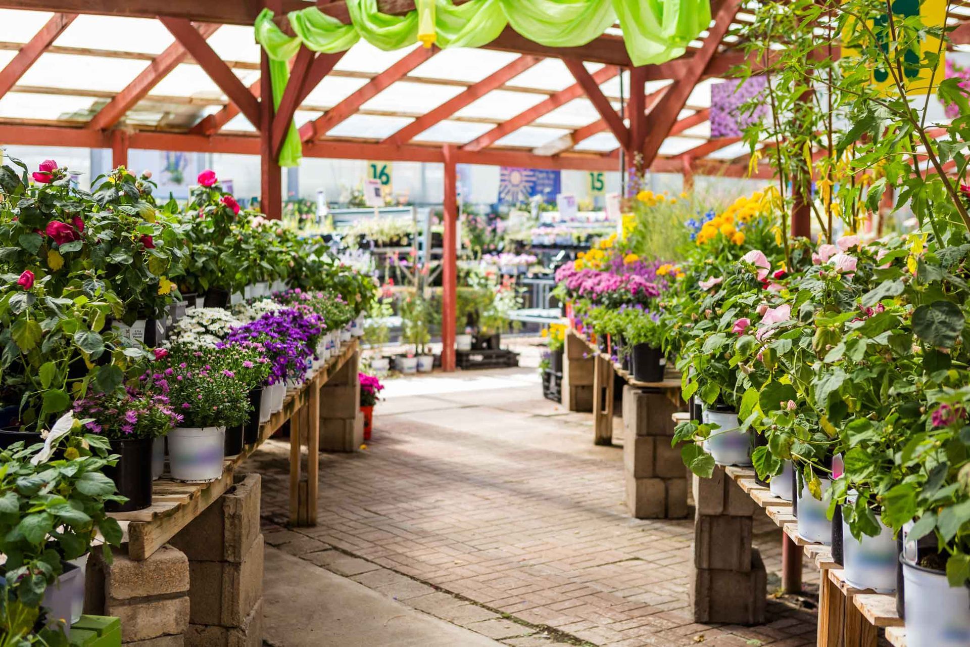 Flower-filled greenhouse aisle with wooden tables of potted plants under a bright glass roof