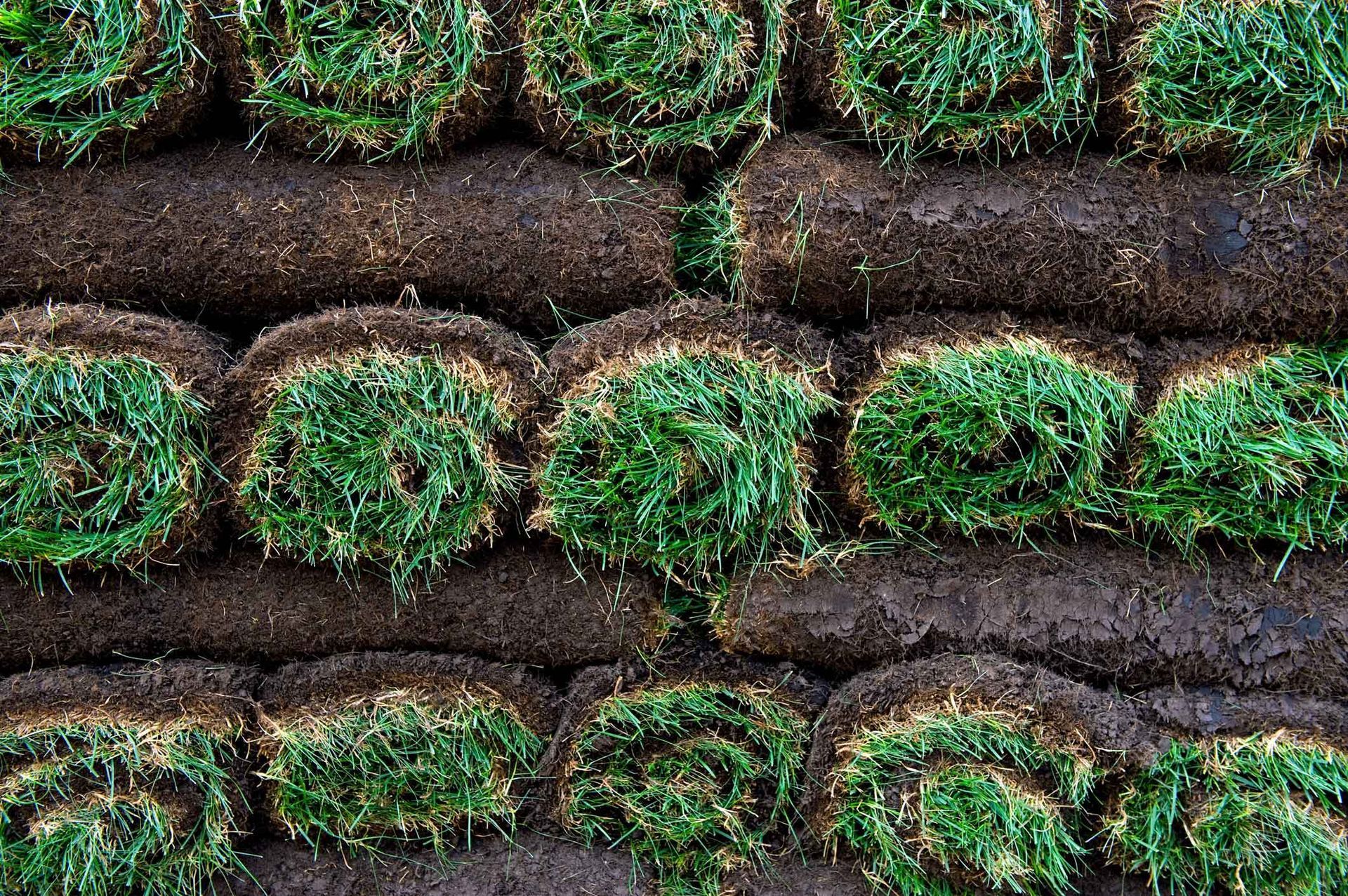 Rows of green moss-covered logs stacked horizontally in a close-up pattern