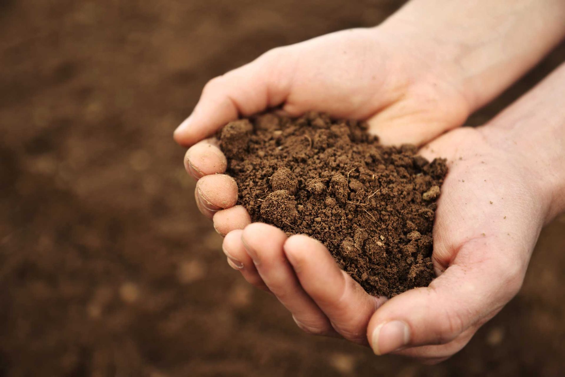 Hands cupping rich brown soil against a blurred earthy background