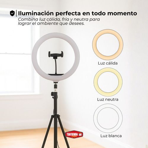 Aro De Luz 26cm Luz Led Trípode Soporte Celulares Selfie