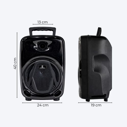 Parlante Portátil Bluetooth Micrófono Luces Rgb 8 Pulgadas