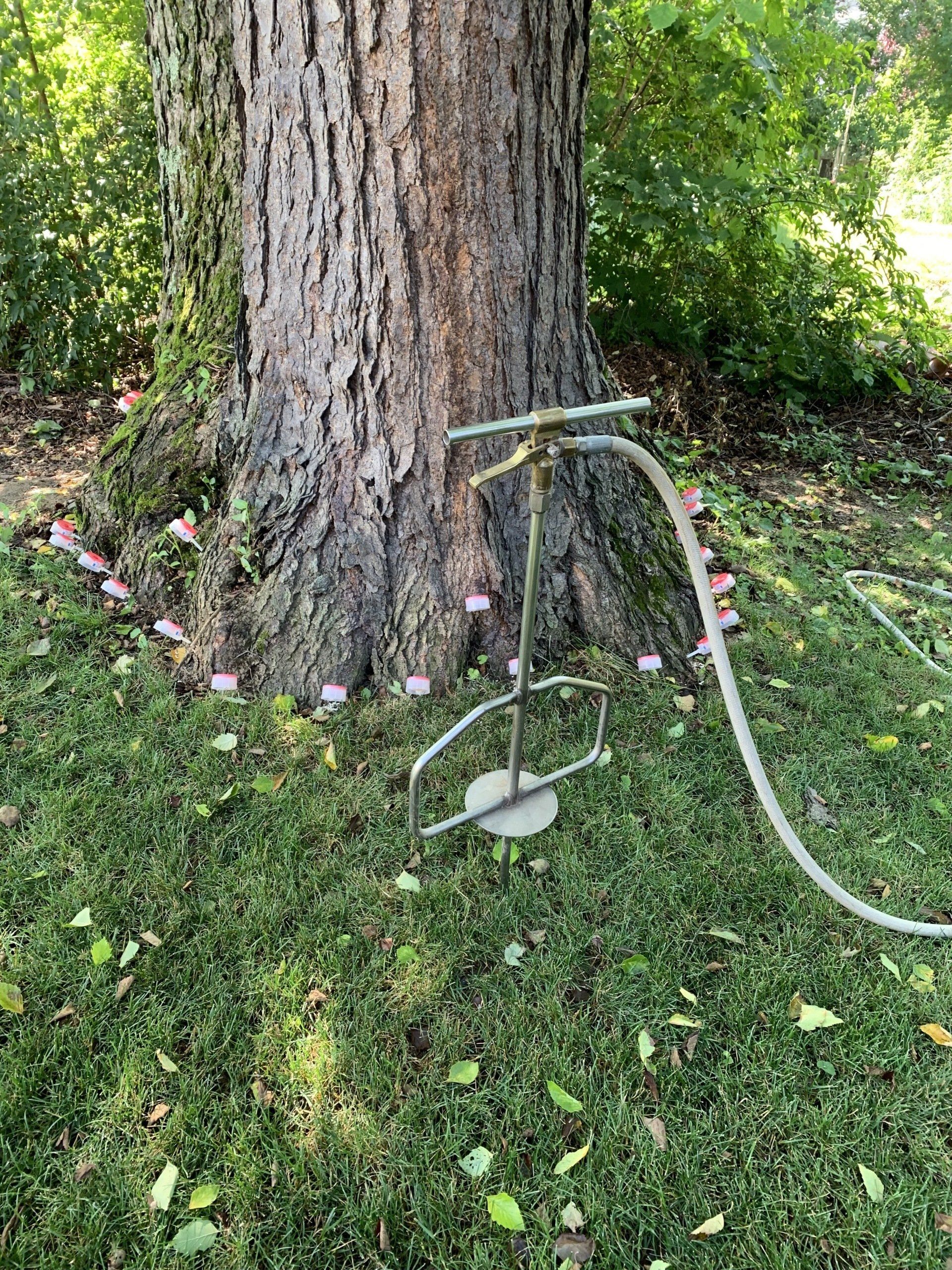 Maintaining Tree Roots — Kingston, NY — Roots Up Plant Health Inc.