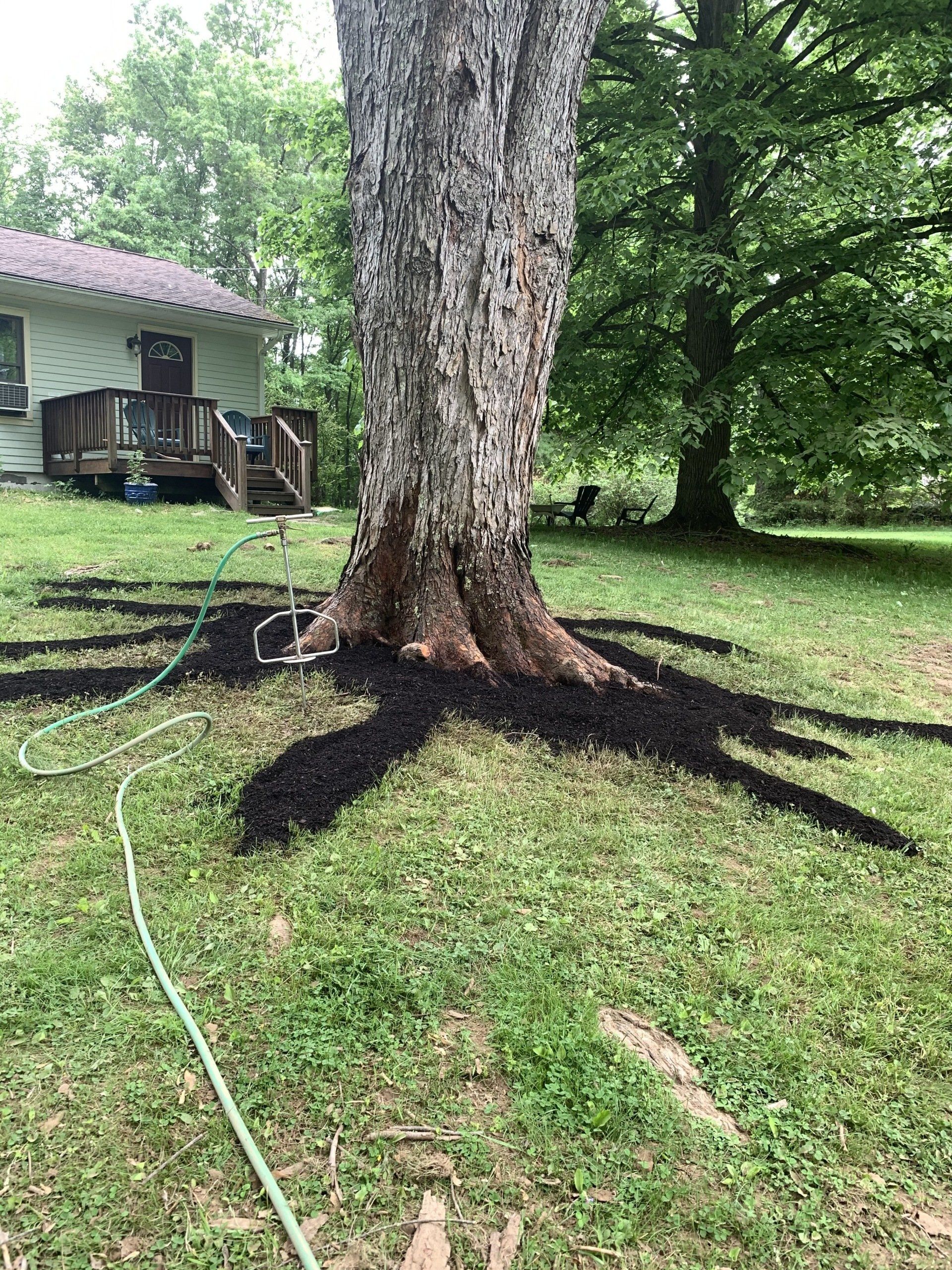 Watering Grass — Kingston, NY — Roots Up Plant Health Inc.
