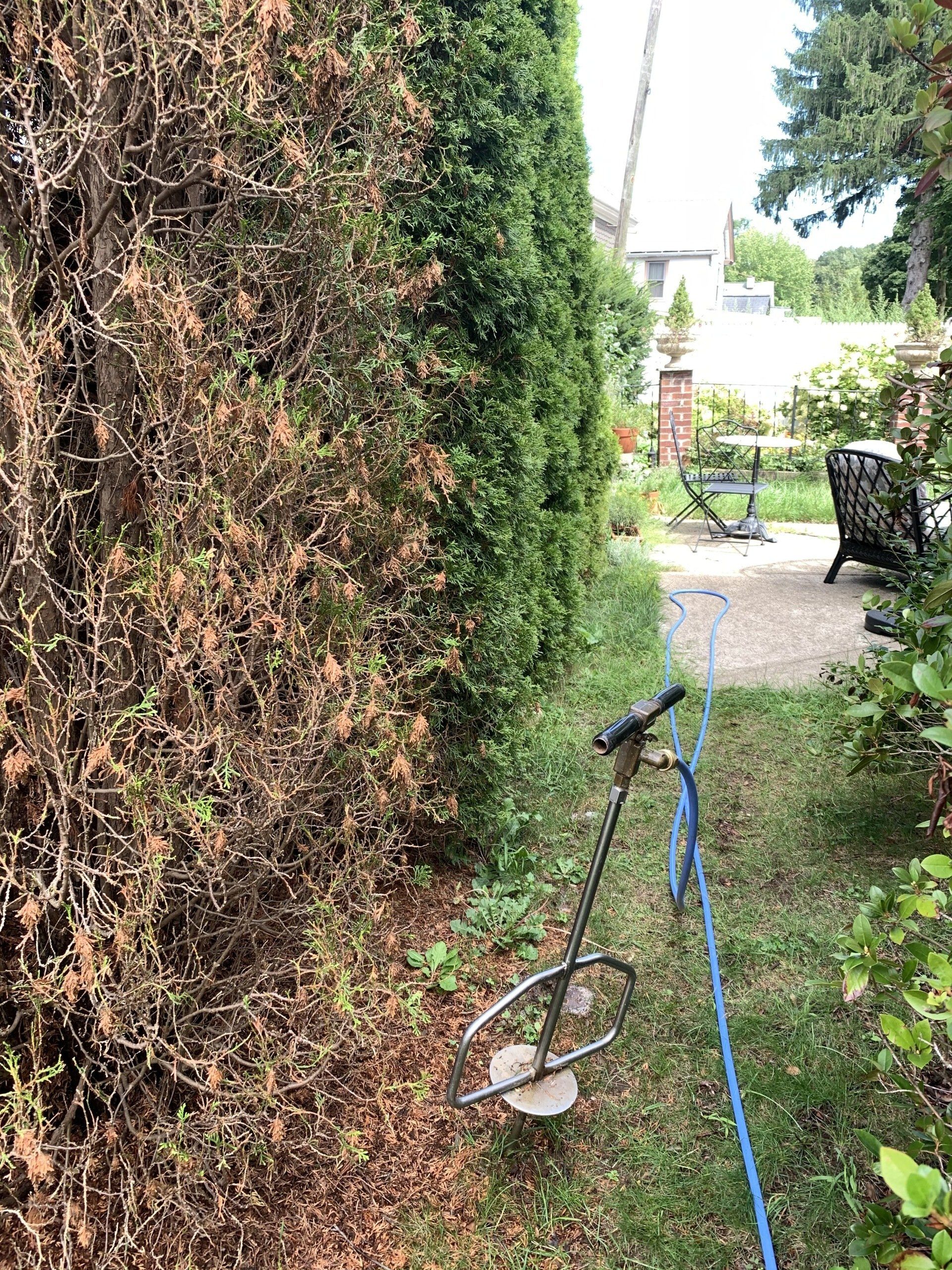 Garden Maintenance — Kingston, NY — Roots Up Plant Health Inc.