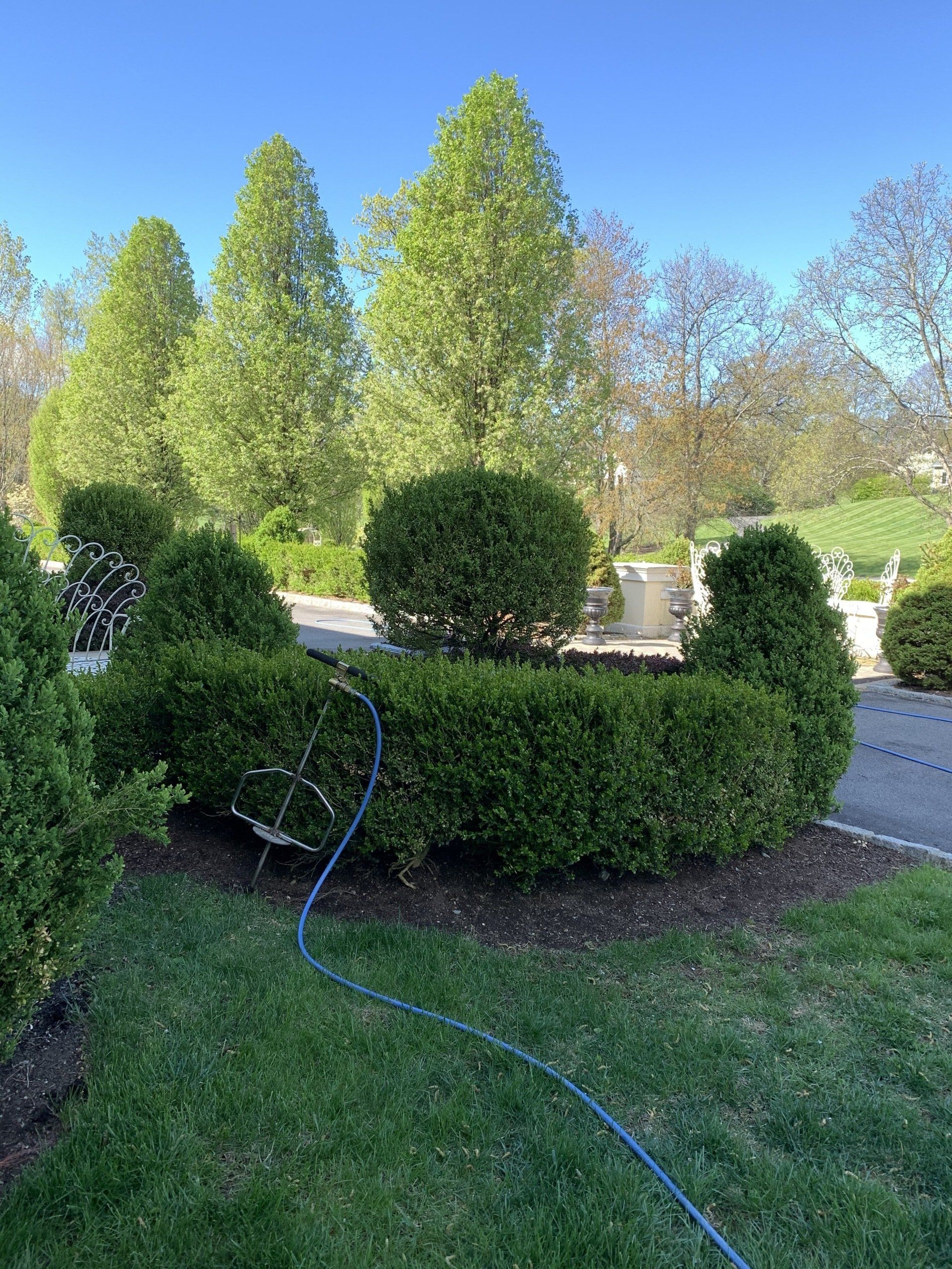 New Lawn — Kingston, NY — Roots Up Plant Health Inc.