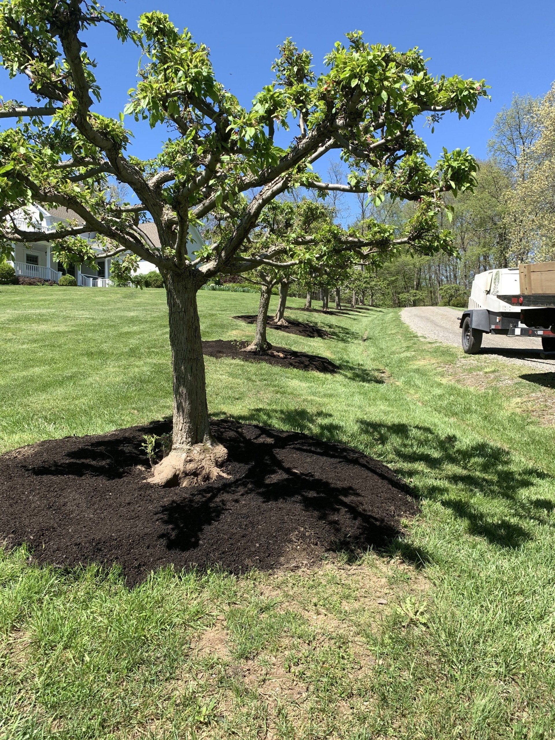 New Soil Landscaping — Kingston, NY — Roots Up Plant Health Inc.