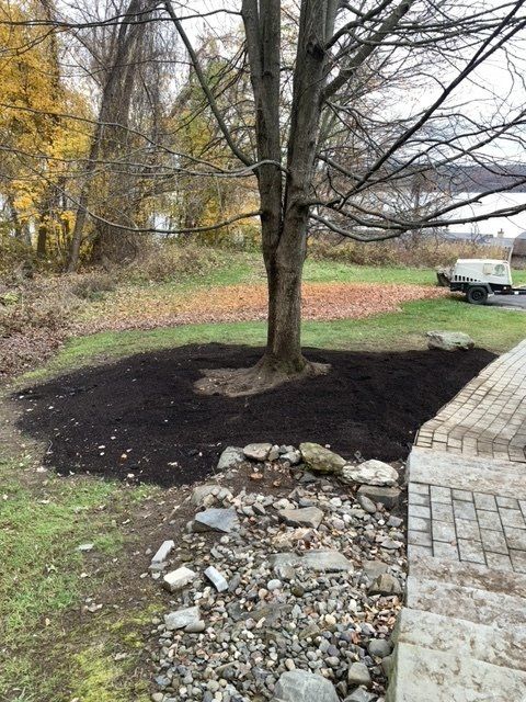 Two With Black Soil - Kingston, NY - Roots Up Plant Health Inc.