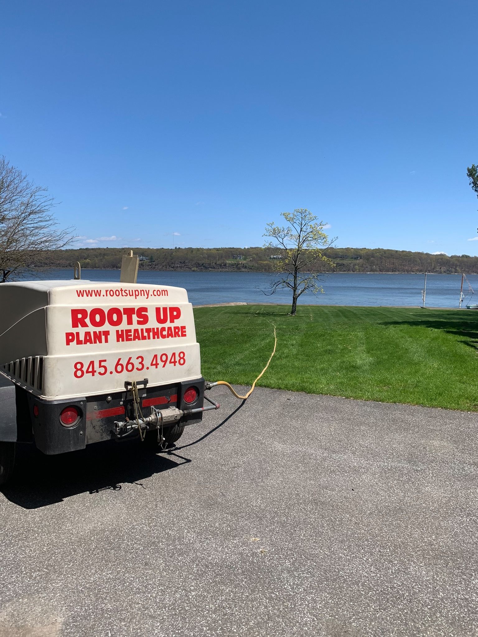 New Lawn — Kingston, NY — Roots Up Plant Health Inc.