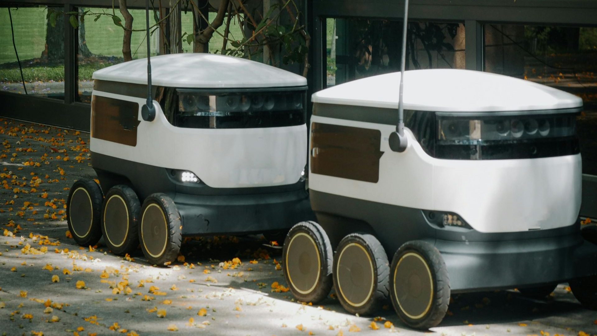 Two delivery robots with orange flags on a paved path near foliage and large windows.