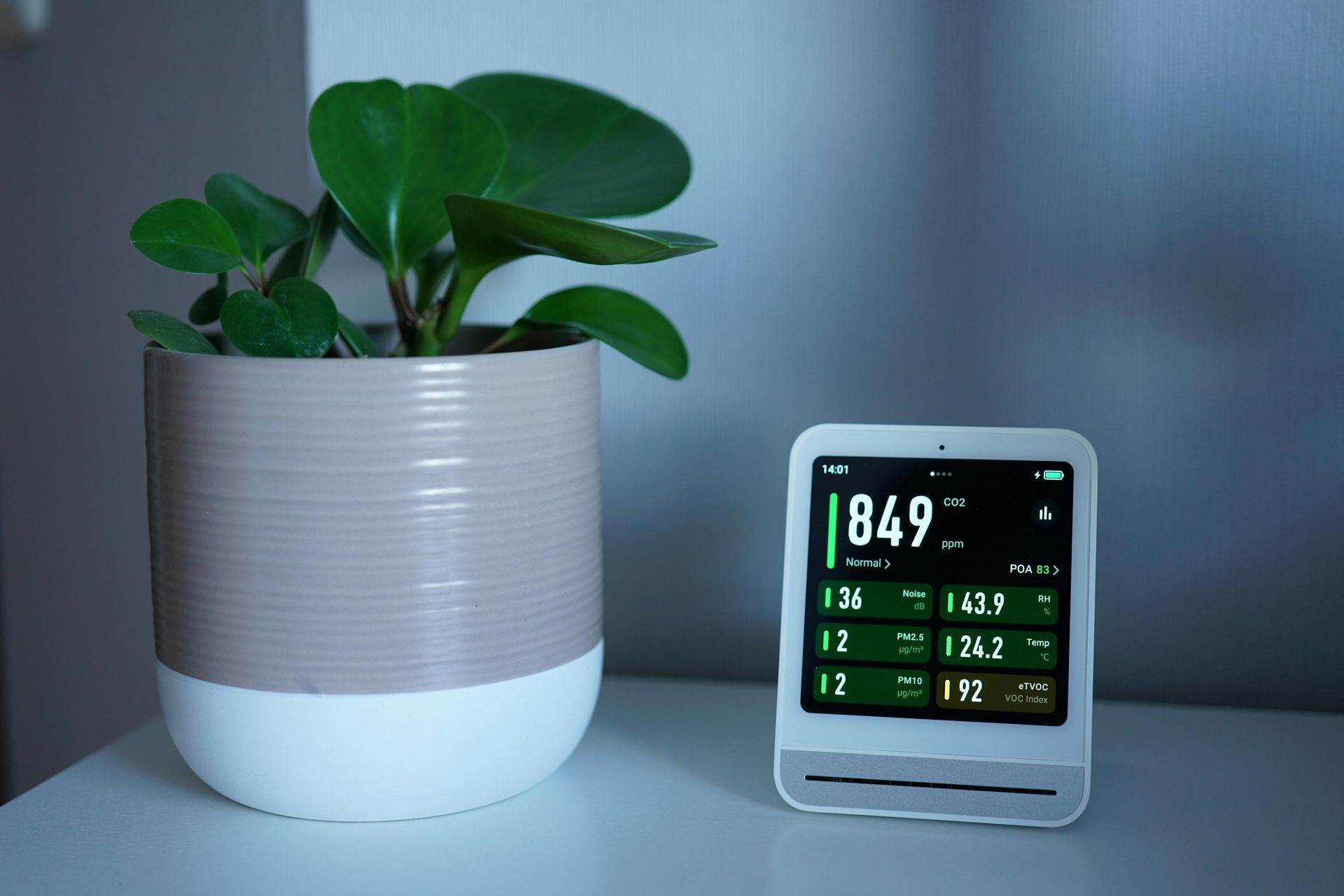 A potted plant next to a white air quality monitor displaying readings with green text. A potted plant next to a white air quality monitor displaying readings with green text.