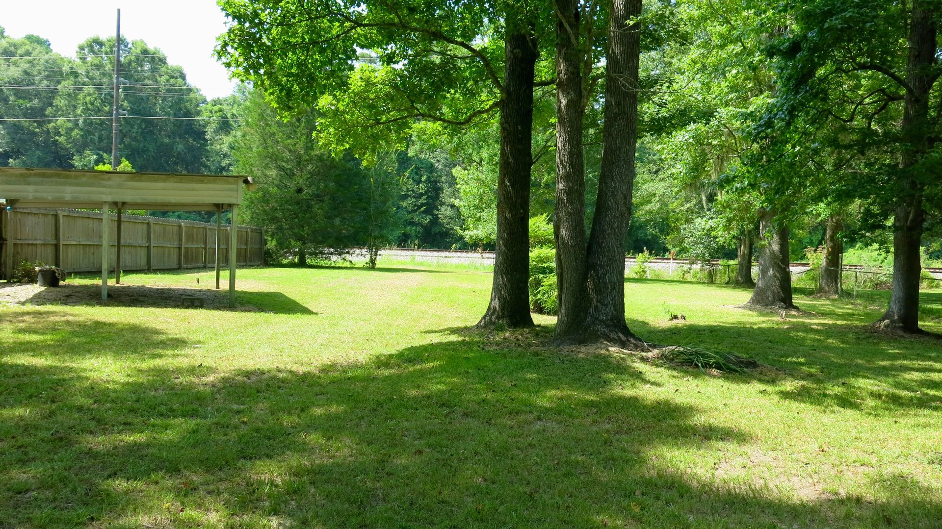 A lush green field with trees and a shed in the background