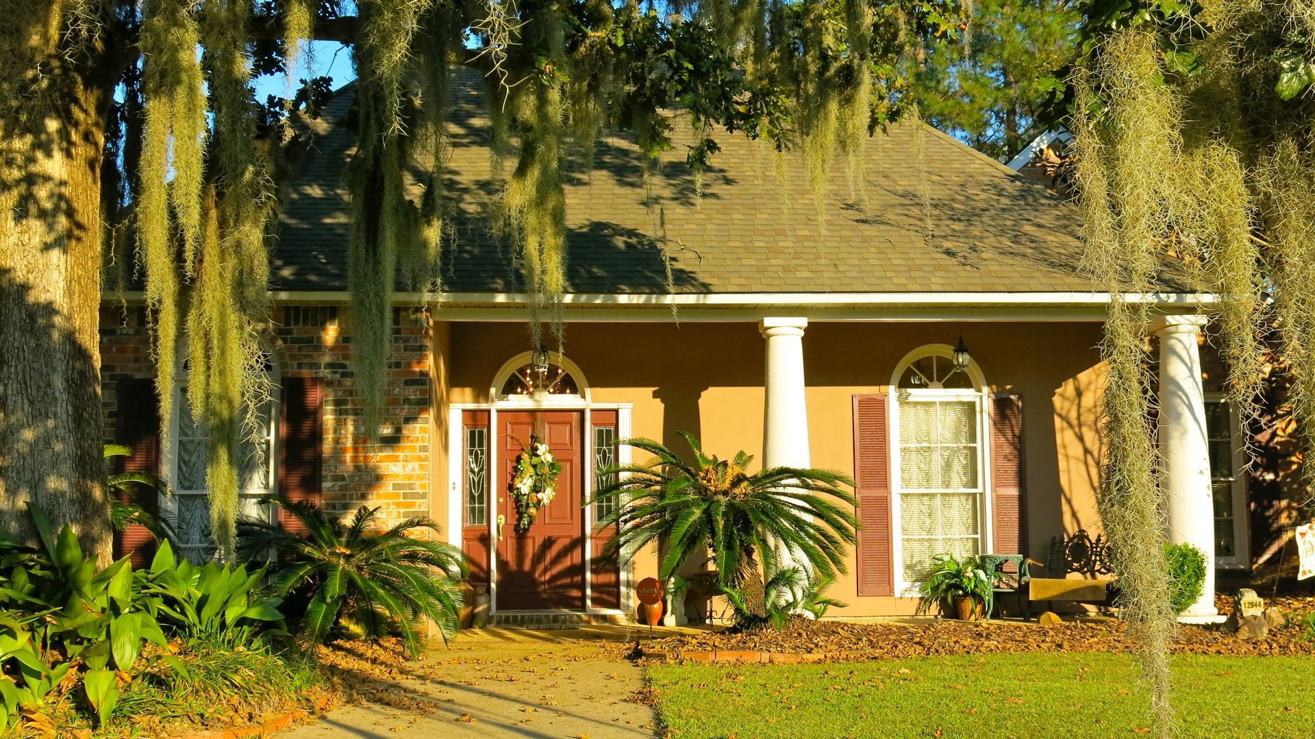 A house with spanish moss hanging from the trees in front of it