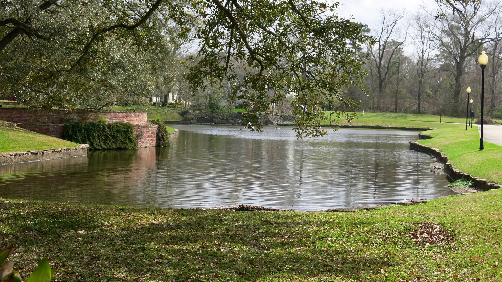 A pond in a park with trees and grass surrounding it