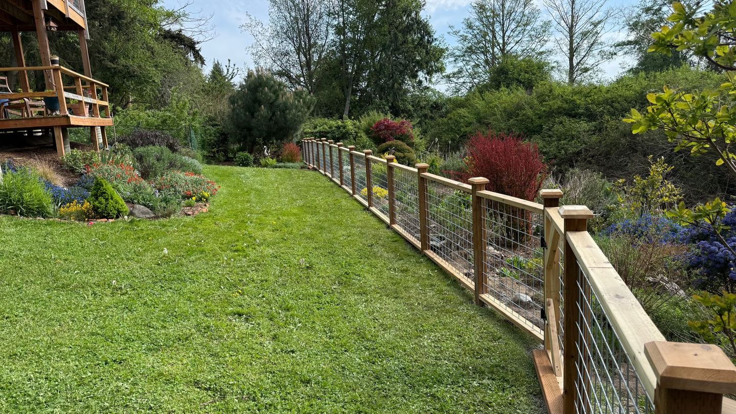 Sunny backyard with green lawn, wooden fence, and colorful flowerbeds by a deck