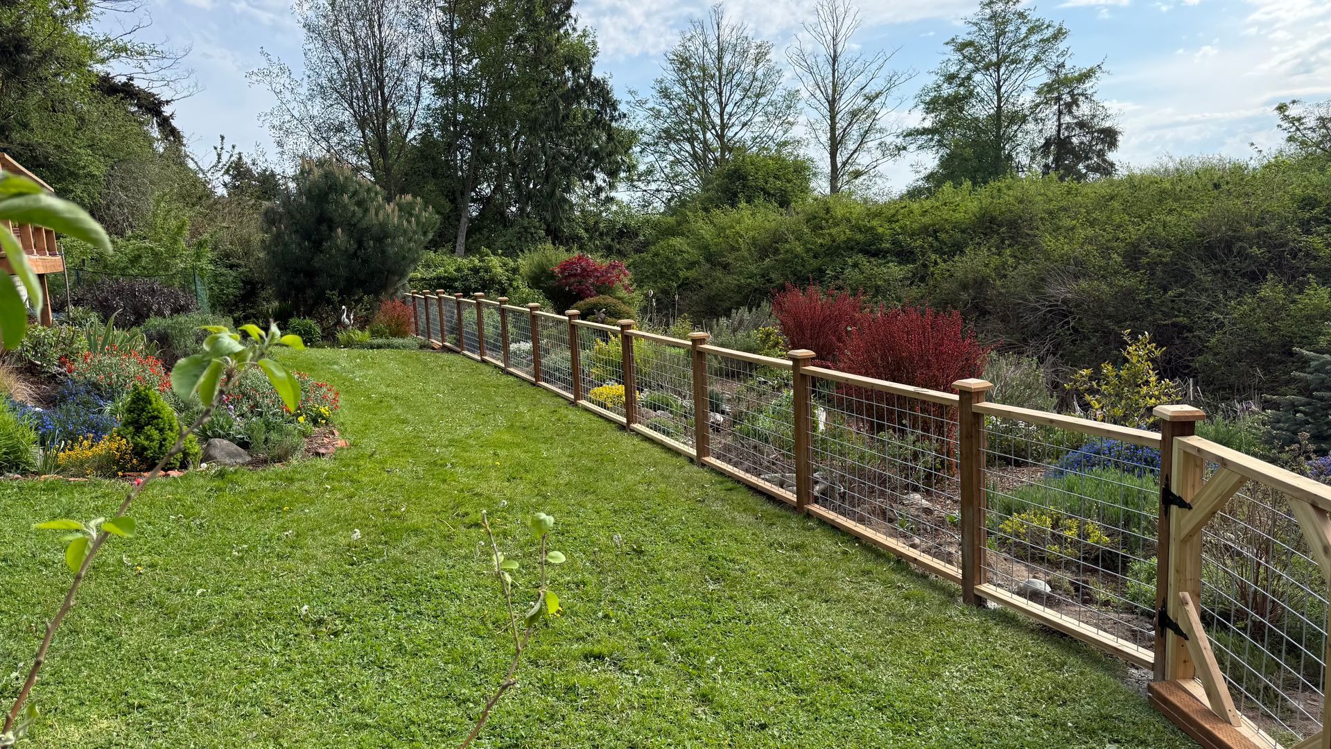 Grassy garden path bordered by a wooden fence and colorful shrubs under a bright sky