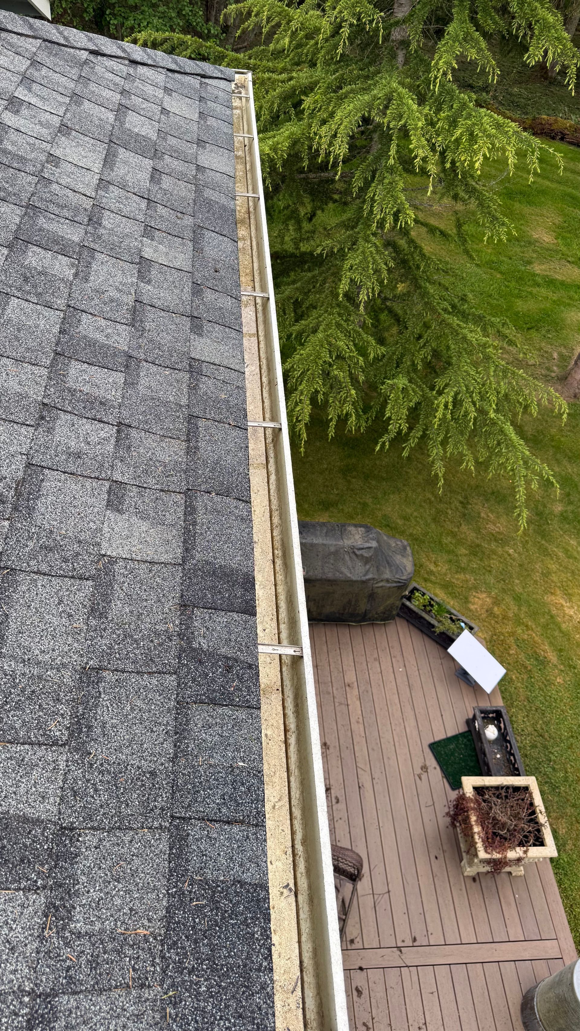 Roof edge overlooking a wooden deck with potted plants and green trees below