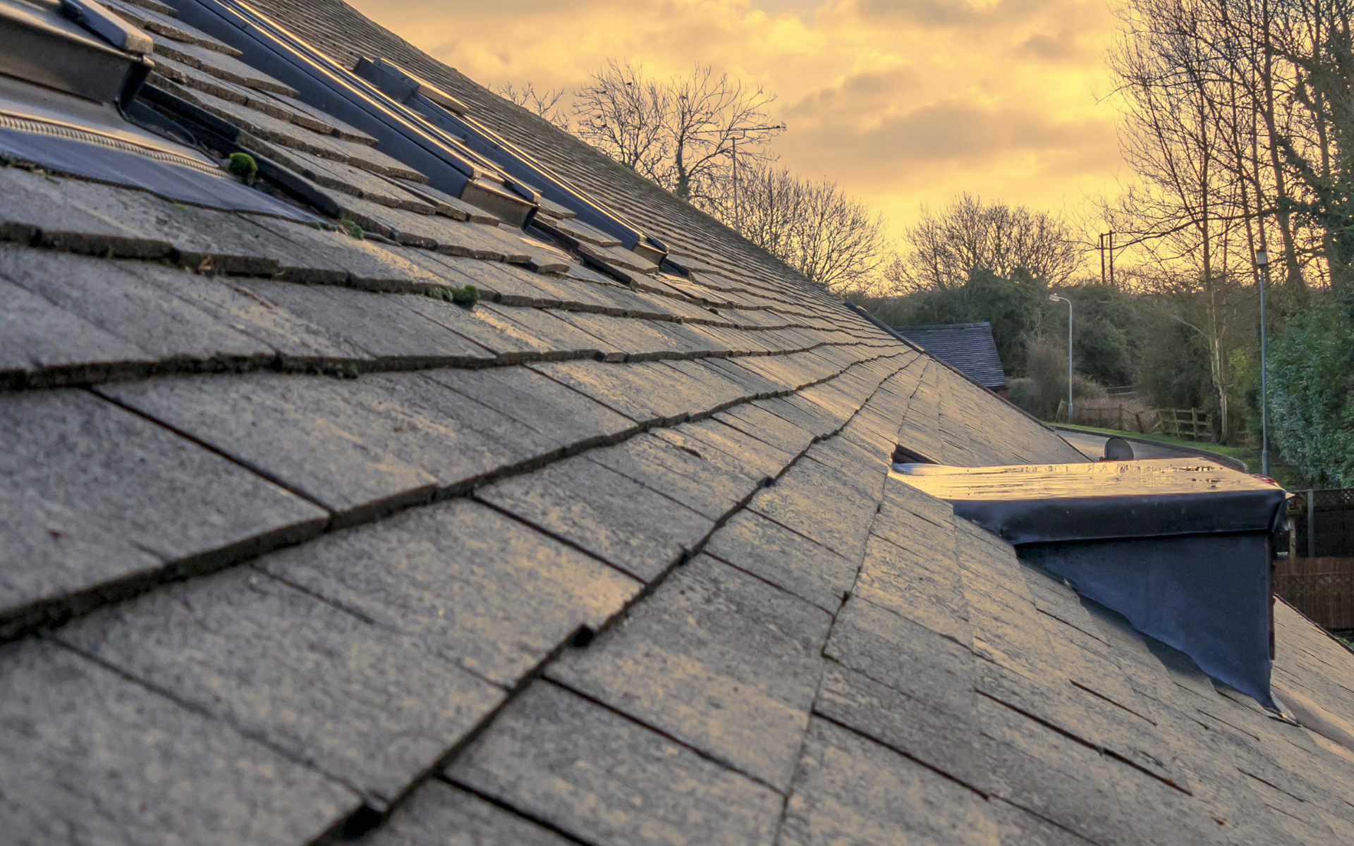 Sloped shingle roof at sunset with trees in the background