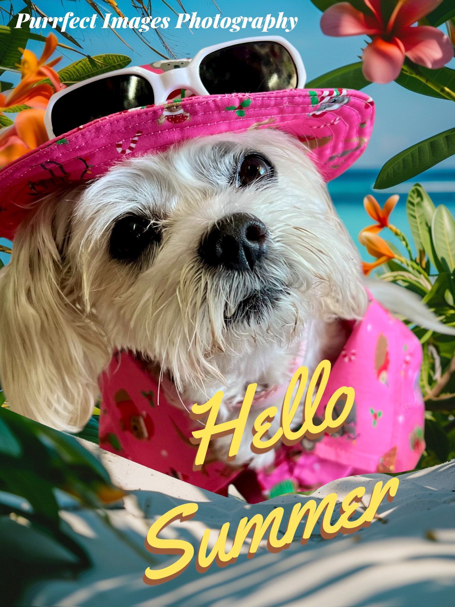 Dog wearing sunglasses and a pink hat, in a tropical setting, 