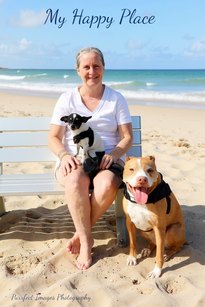 Person Sits on Beach Bench, Black and White Dog Lap, Tan Dog Beside — Costumes Galore in Fraser Coast, QLD