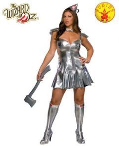 Woman in Silver Tin Man Costume, Holding an Axe, From the Wizard of Oz — Costumes Galore in Maroochydore, QLD