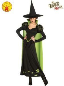 Wicked Witch of the West Costume: Black Dress, Hat, Green Cape — Costumes Galore in Maroochydore, QLD