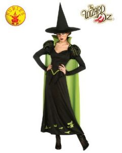 A Person Dressed as a Witch in a Black and Green Costume — Costumes Galore In Maroochydore, QLD