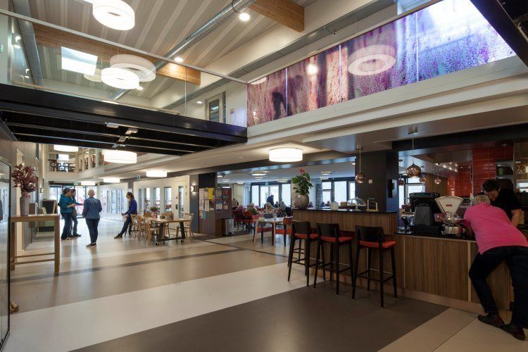 neie punt insight lleap