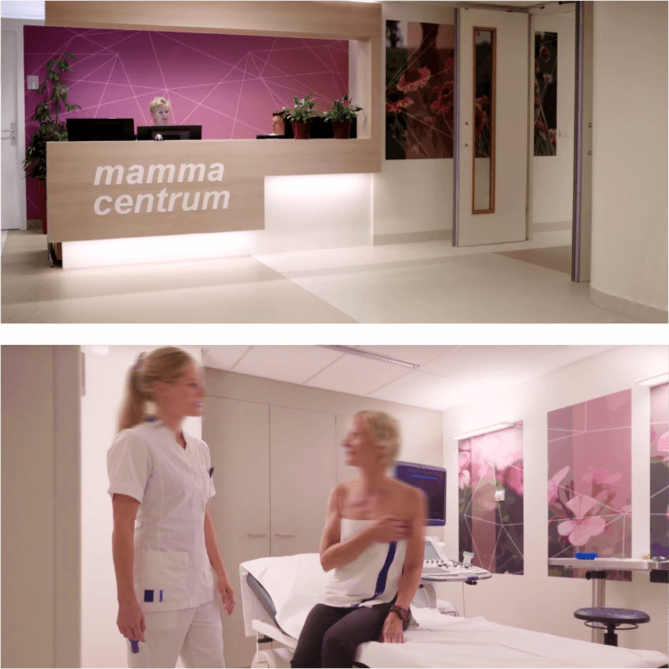 mama centrum treant ziekenhuis lleap insight paul van de walle