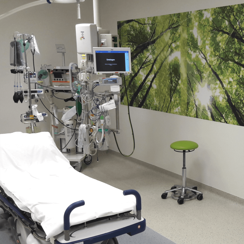 treant lleap insight