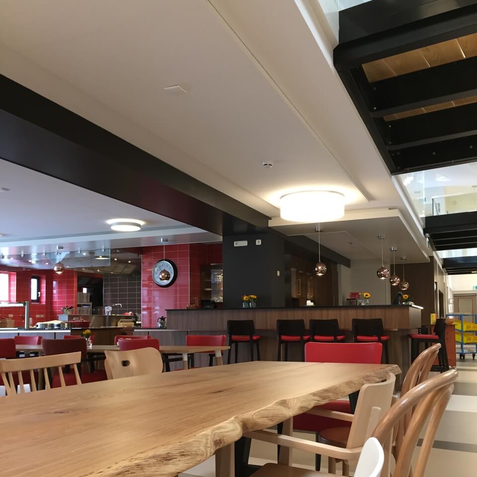 neie punt insight lleap