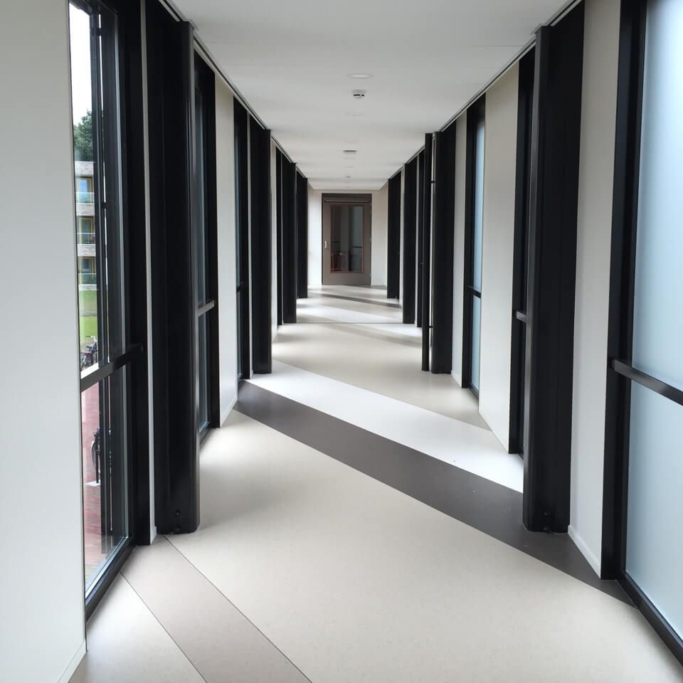 neie punt insight lleap