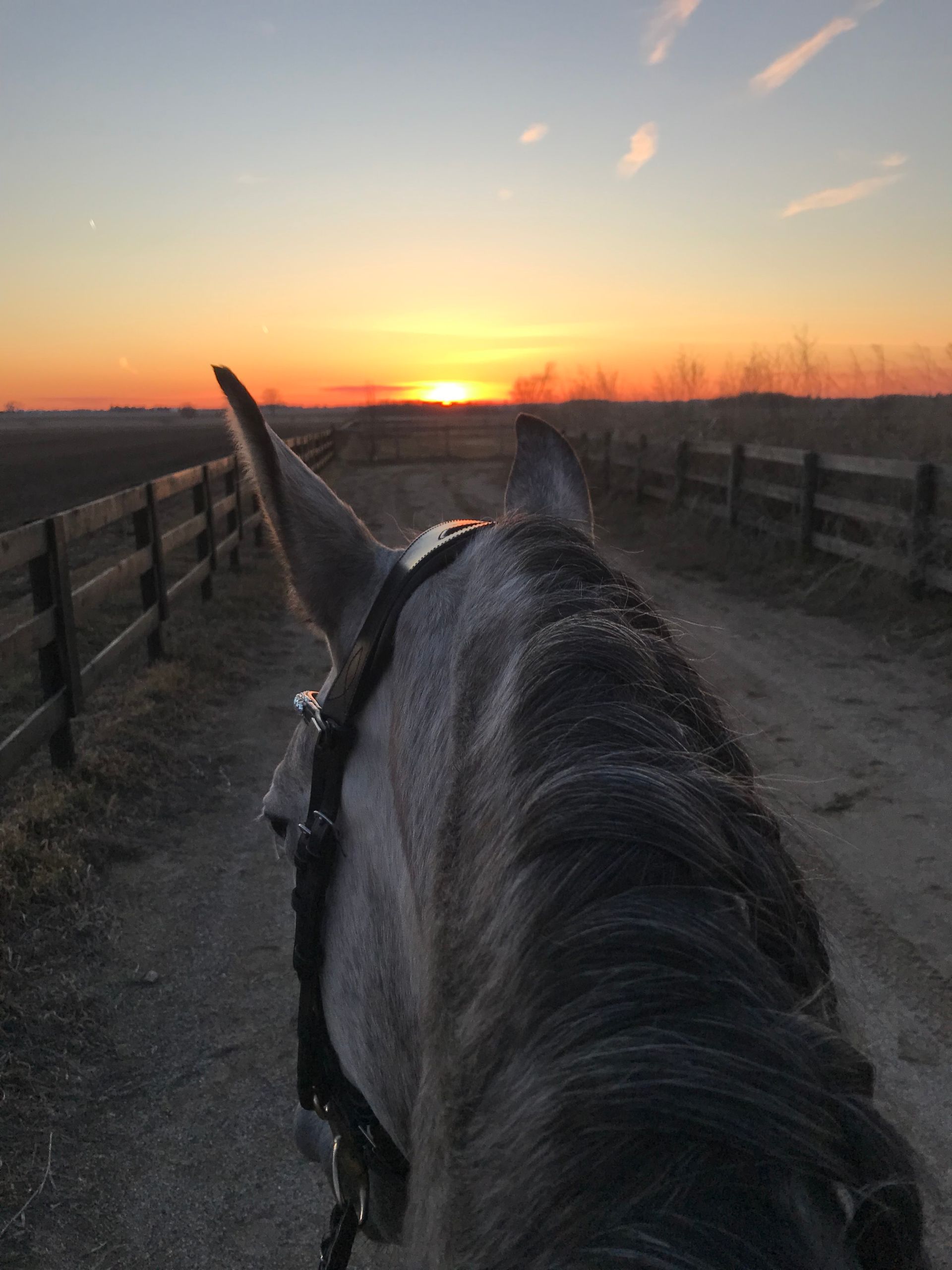 View from a horse on a fenced path at sunrise, with the rider facing the glowing horizon.