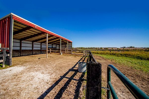 Open-sided barn beside a dirt paddock and fence under a clear blue sky