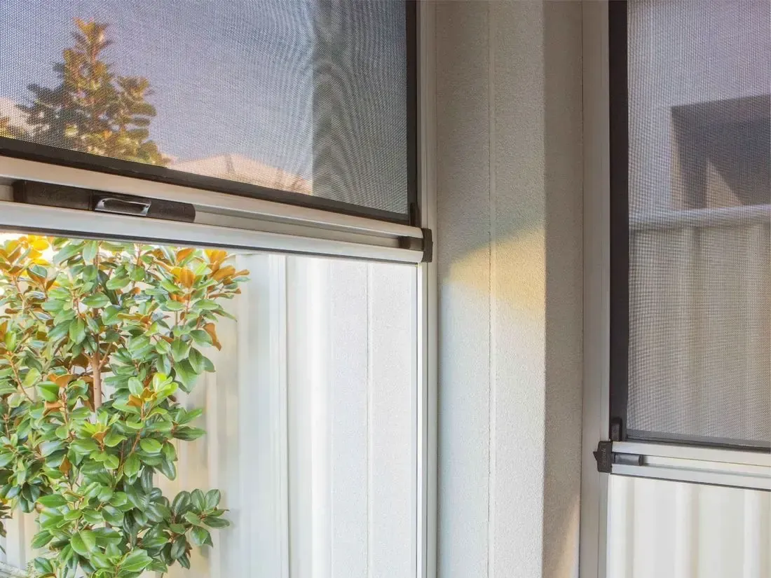 A window with a screen on it and a plant in front of it.
