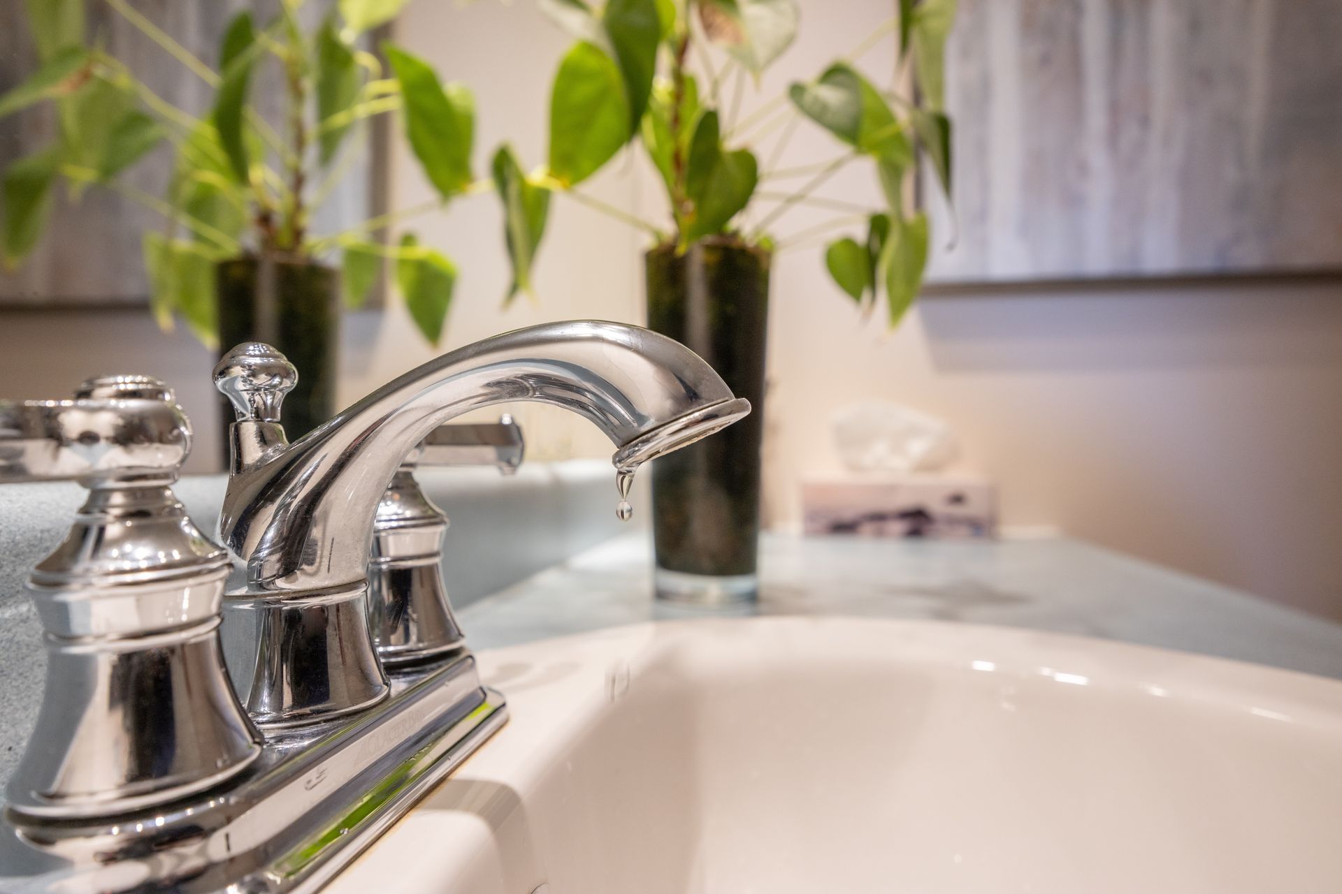 Chrome faucet with water droplet over a white sink, plants in background.