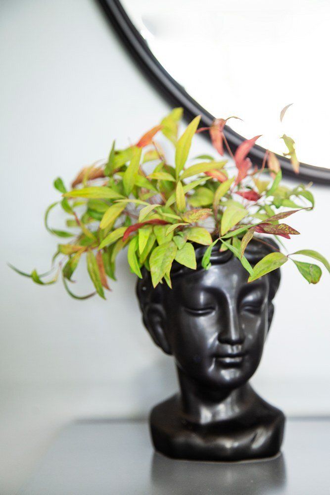 הום סטיילינג דירות יוקרה- עיצוב פנים שמרית אוחיון