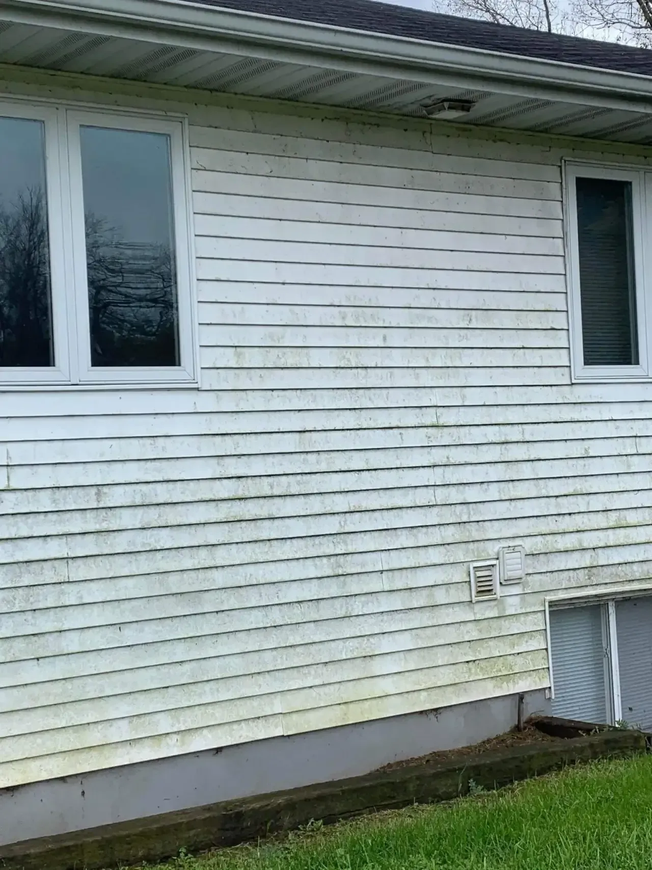 White House – Appleton, WI - Errands & Property Maintenance 