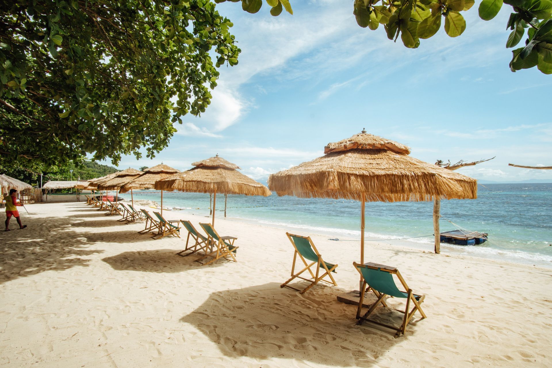 There are many umbrellas and chairs on the beach.